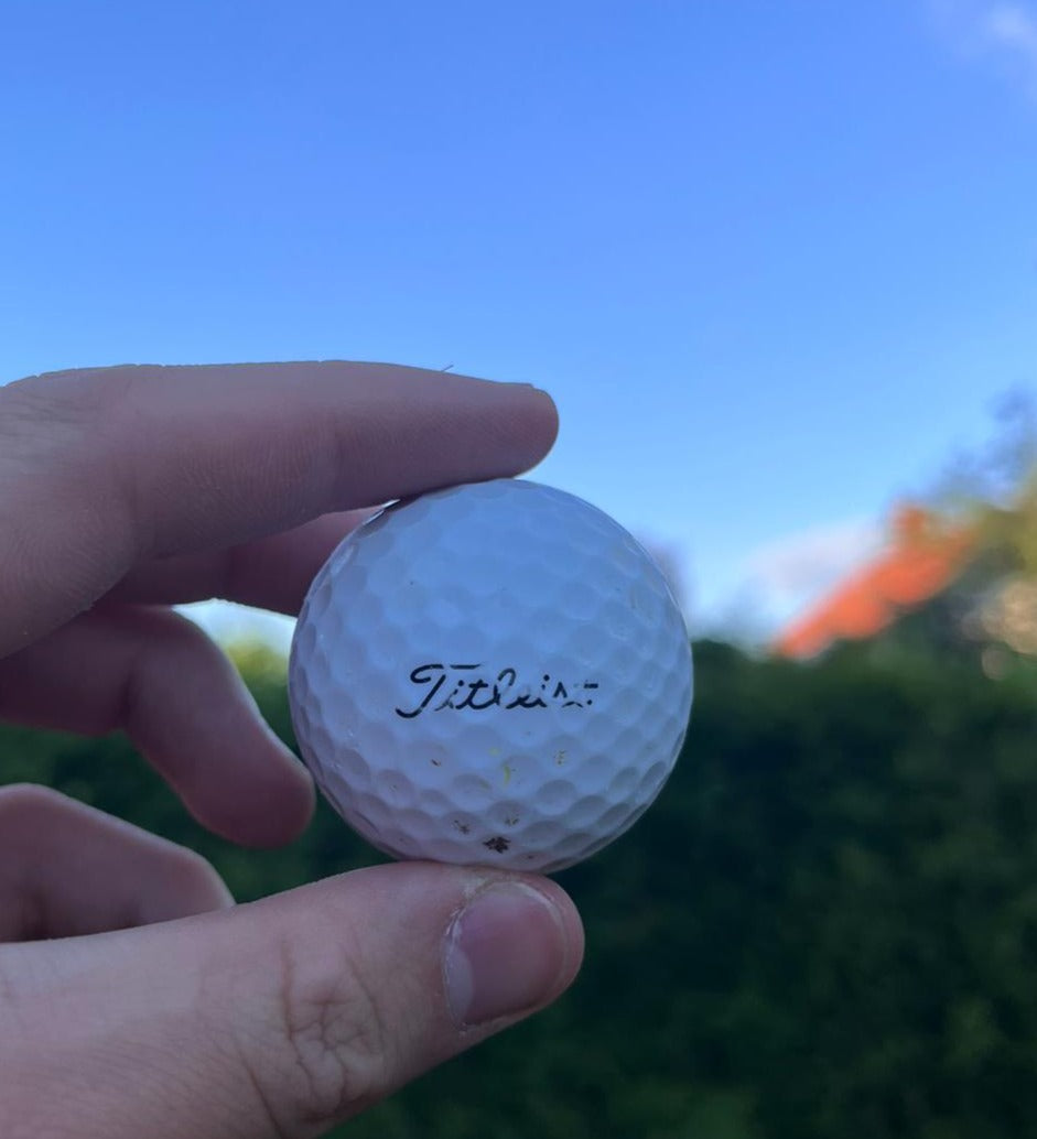 Titleist Lake Balls AAA/AA