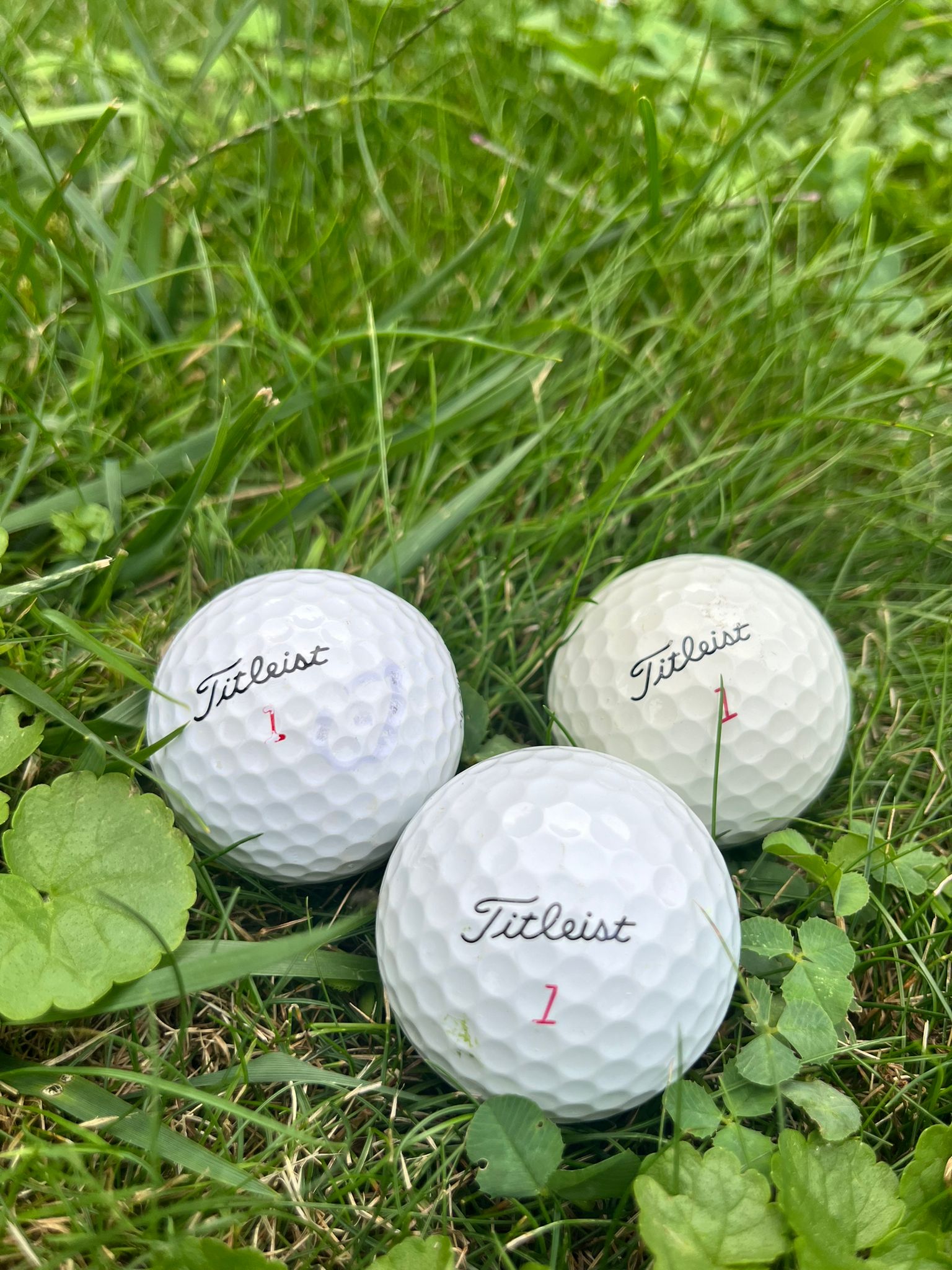 Titleist Pro-V1 and Pro V1x Lake Balls AAA/AA